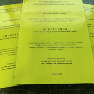 Подвързване с телчета 8